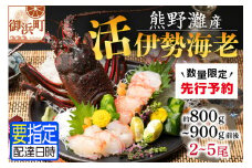 文恵丸水産の熊野灘産活伊勢海老　黒潮コース 2～5尾 約800g～900g前後【魚介 伊勢海老 伊勢えび 海老 えび 活き 三重県 御浜町】