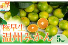JAの南紀みかん極早生5キロ【期間限定 数量限定 果物 フルーツ みかん デザート 極早生 温州 5kg 三重県 御浜町】