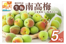 和光工房の南高梅（生）5キロ【期間限定 梅 うめ 生梅 旬 南高梅 5kg 梅酒 梅シロップ 梅干し 梅ジュース 三重県 御浜町】