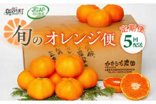 かきうち農園のオレンジ便（全5回）【果物 フルーツ みかん オレンジ デザート 定期便 定期 5回 三重県 御浜町】