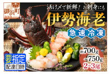 文恵丸水産の熊野灘産活〆急速冷凍伊勢海老　梅 2～3尾 約700～750g【魚介 伊勢海老 伊勢えび 海老 えび 三重県 御浜町 冷凍】