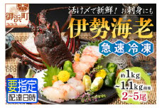 文恵丸水産の熊野灘産活〆急速冷凍伊勢海老　竹2～5尾 約1～1.1kg前後【魚介 伊勢海老 伊勢えび 海老 えび 三重県 御浜町 冷凍】