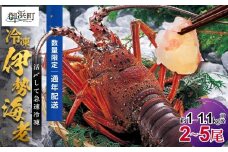 文恵丸水産の熊野灘産活〆急速冷凍伊勢海老　竹2～5尾 約1～1.1kg前後【要日時指定配達 急速冷凍 魚介 伊勢海老 伊勢えび 海老 えび 三重県 御浜町 冷凍】