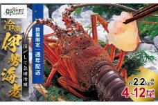 文恵丸水産の熊野灘産活〆急速冷凍伊勢海老　松4～12尾 約2.2kg前後【要日時指定配達 急速冷凍 魚介 伊勢海老 伊勢えび 海老 えび 三重県 御浜町 冷凍】