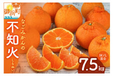 【2026年発送 先行予約品】なごみかんの不知火7.5キロ【数量限定 配送2月から 果物 フルーツ みかん 不知火 しらぬい デザート 7.5kg 三重県 御浜町】