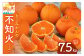 【2026年発送 先行予約品】