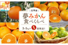 アグリの夢みかん食べくらべ（全5回）【期間限定 数量限定 果物 フルーツ みかん デザート 定期便 定期 5回 三重県 御浜町】