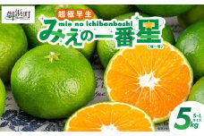 JAみえの一番星（味一号）5キロ【期間限定 数量限定 果物 フルーツ みかん 味一号 みえの一番星 超極早生 5kg 三重県 御浜町】