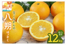 【2026年発送 先行予約品】なごみかんの八朔12キロ【数量限定 配送2月から 果物 フルーツ みかん 八朔 はっさく デザート 12kg 三重県 御浜町】
