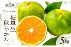 9月の御浜柑橘　秋みかん5キロ【先行予約 期間限定 果物 フルーツ みかん 極早生 極早生みかん 5kg マルチ栽培 三重県 御浜町】