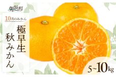 10月の御浜柑橘　秋みかん5～10キロ【先行予約 期間限定 果物 フルーツ みかん 極早生みかん 極早生 5kg ～ 10kg 露地栽培 三重県 御浜町】