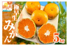 ミカファームの極早生みかん5キロ【期間限定 数量限定 果物 フルーツ みかん 極早生みかん 極早生 デザート 5kg 三重県 御浜町】