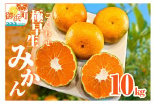 ミカファームの極早生みかん10キロ【期間限定 数量限定 果物 フルーツ みかん 極早生みかん 極早生 デザート 10kg 三重県 御浜町】