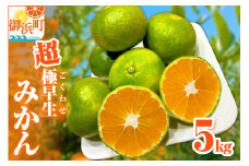 ミカファームの超極早生みかん5キロ【期間限定 数量限定 果物 フルーツ みかん 超極早生みかん 超極早生 デザート 5kg 三重県 御浜町】