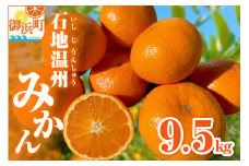 ミカファームの石地温州みかん9.5キロ【期間限定 数量限定 果物 フルーツ みかん 温州みかん 石地温州みかん デザート 9.5kg 三重県 御浜町】