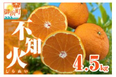 【2026年発送 先行予約品】ミカファームの不知火4.5キロ【数量限定 果物 フルーツ みかん 不知火 しらぬい デザート 4.5kg 三重県 御浜町】