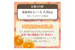 【2026年発送 先行予約品】