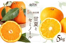5月の御浜柑橘　みかん詰め合わせ5キロ【先行予約 期間限定 果物 フルーツ みかん セミノール 甘夏 詰め合わせ セット 5kg 三重県 御浜町】