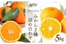 5月の御浜柑橘　みかん詰め合わせ5キロ【先行予約 期間限定 果物 フルーツ みかん セミノール 甘夏 詰め合わせ セット 5kg 三重県 御浜町】