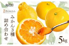 【2026年発送 先行予約品】2月の御浜柑橘　みかん詰め合わせ5キロ【先行予約 期間限定 果物 フルーツ みかん 市木オレンジ みえのスマイル 早生三宝柑 三宝柑 詰め合わせ 5kg 冬 三重県 御浜町】