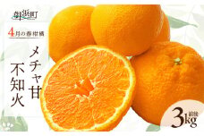 4月の御浜柑橘　メチャ甘不知火（3キロ前後）【期間限定 果物 フルーツ みかん 不知火 しらぬい 3kg前後 三重県 御浜町】