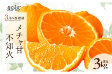 【2026年発送 先行予約品】3月の御浜柑橘　メチャ甘不知火（3キロ前後）【先行予約 期間限定 果物 フルーツ みかん 不知火 しらぬい 3kg前後 三重県 御浜町】