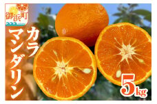 【2026年発送 先行予約品】濃厚とろ旨！ミカファームのカラマンダリン5キロ【数量限定 果物 フルーツ みかん オレンジ カラマンダリン デザート 5kg 三重県 御浜町】