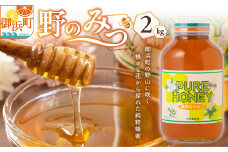 うい養蜂の野のみつ2キロ【蜂蜜 はちみつ 国産 三重県産 純粋はちみつ 百花蜜 人気 ハチミツ うい養蜂 ヨーグルト トースト 三重県 御浜町 免疫力】