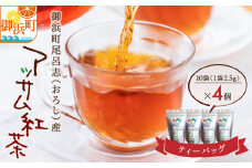 アッサムTea21のアッサム紅茶（パック）【紅茶 茶葉 アッサム アッサム紅茶 アッサムティー 国産 ティーバッグ 栽培期間内農薬不使用 自然発酵 自然な甘み あっさり アッサムTea21 三重県 御浜町】