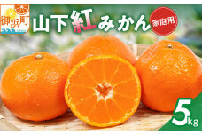 辻本農園の山下紅みかん（家庭用）５キロ【期間限定 数量限定 キズあり まぼろし 幻 高級 甘い 果物 ミカン 柑橘 フルーツ 家庭用 三重県 御浜町】