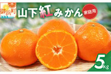 辻本農園の山下紅みかん（家庭用）５キロ【期間限定 数量限定 キズあり まぼろし 幻 高級 甘い 果物 ミカン 柑橘 フルーツ 家庭用 三重県 御浜町】