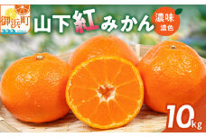 辻本農園の山下紅みかん10キロ【期間限定 数量限定 まぼろし 幻 高級 甘い 果物 ミカン フルーツ 柑橘 三重県 御浜町】