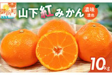 辻本農園の山下紅みかん10キロ【期間限定 数量限定 まぼろし 幻 高級 甘い 果物 ミカン フルーツ 柑橘 三重県 御浜町】