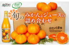 かきうち農園のみかんとジュースの詰め合わせ【果物 フルーツ みかん オレンジ デザート 旬 みかんジュース オレンジジュース セット 詰め合わせ 三重県 御浜町】