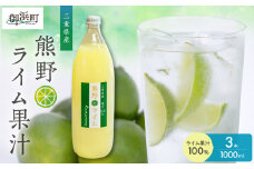 ブライトライフの熊野ライム果汁1000ml ３本セット【 国産 柑橘 ライム 果汁100％ 果物 フルーツ 三重県 御浜町】