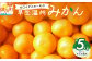 ※画像はイメージです。