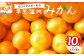 ※画像はイメージです。