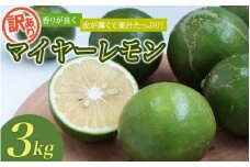 はぎファームの訳ありマイヤーレモン ３kg 【2025年10月～2026年1月下旬の期間で順次発送】 / レモン 国産 マイヤーレモン 数量限定  訳あり