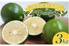 はぎファームのマイヤーレモン ３kg 【2025年10月～2026年1月下旬の期間で順次発送】 / レモン 国産 マイヤーレモン 数量限定 