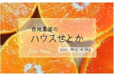 【先行予約】西地農園のハウスせとか 4.5kg L～Mサイズ【2026年2月中旬より順次発送】 / 手選別 せとか ハウスせとか みかん ミカン 蜜柑 柑橘 果物 くだもの フルーツ 産地直送 人気