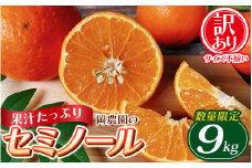 訳あり品 サイズ混合 ご家庭用 岡農園のセミノール9kg【2026年3月下旬から4月下旬までに順次発送】 / セミノール わけあり 訳あり 家庭用 みかん 蜜柑 数量限定 ミカン