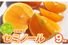 サイズL以上(L・2L・3L)岡農園のセミノール9kg【2026年3月下旬から4月下旬までに順次発送】 / セミノール みかん 蜜柑 数量限定 ミカン