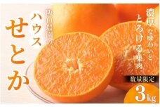 阪口農園のハウスせとか 3kg (2L～3L 9玉～12玉) 【先行予約】【数量限定】【2026年2月中旬~3月中旬までに順次発送】 せとか ハウスせとか みかん ミカン 蜜柑 柑橘 フルーツ 果物 くだもの 旬 産地直送 農家直送