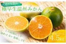 【先行予約】訳あり品 ご家庭用 S-Lサイズ混合 たにぐち農園の極早生温州みかん(マルチ栽培)4.5kg【2025年9月下旬～10月下旬に順次発送】 / わけあり 訳あり ご家庭用 家庭用 不揃い 極早生 早生 温州 みかん 蜜柑 