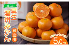 訳あり品 ご家庭用 たにぐち農園の早生温州みかん(マルチ栽培) 5kg【2025年11月下旬～12月中旬に順次発送】 / わけあり 訳あり ご家庭用 家庭用 不揃い 早生 温州 みかん 蜜柑 