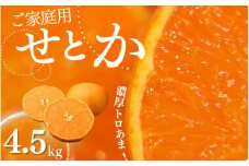 【先行予約】ご家庭用 たにぐち農園のせとか 4.5kg 大小混合【2026年3月から4月上旬までに順次発送】 / 家庭用 ご家庭用 せとか みかん 蜜柑 サイズ 不揃い
