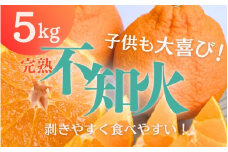 たにぐち農園の完熟不知火 5kg【2026年2月中旬から3月下旬までに順次発送】 / 不知火 みかん 蜜柑 デコポン