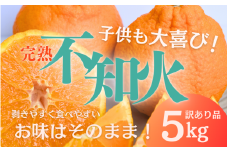 【数量限定】 たにぐち農園の完熟不知火 ご家庭用 ちょこっと訳あり 5kg【2026年2月中旬から3月下旬までに順次発送】 / くだもの フルーツ 果物 わけあり 訳あり 家庭用 ご家庭用 不知火 みかん 蜜柑 デコポン 人気