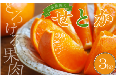 石本農園の ハウスせとか 約3kg  (2L or 3L 9玉～12玉)【2026年2月中旬から下旬に順次発送】 / せとか みかん ミカン 蜜柑 柑橘 果物 くだもの フルーツ 予約 人気 ジューシー 甘い