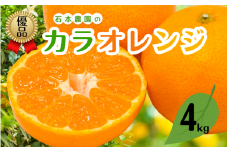 M以上優品 石本農園のカラオレンジ 約4kg【2026年4月初旬から下旬までに順次発送】 / みかん ミカン 蜜柑 カラ カラオレンジ